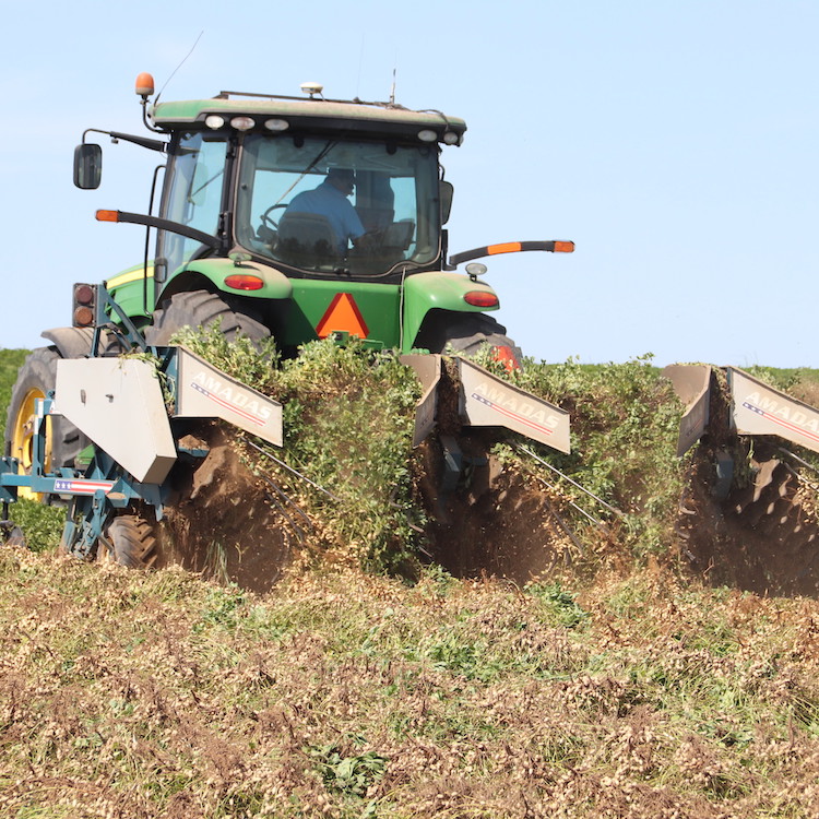 44th Annual Georgia Peanut Farm Show & Conference set for Jan. 16, 2020